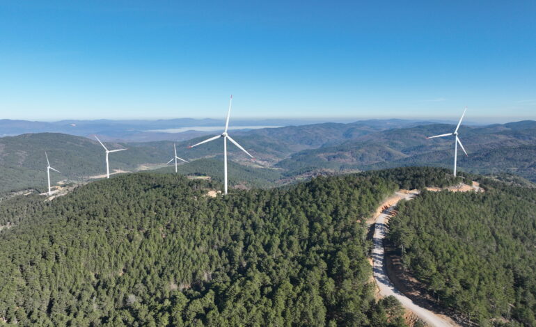 Enerjisa Üretim, Türkiye’de rüzgârda 1.000 MW’a ulaşan ilk şirket oldu