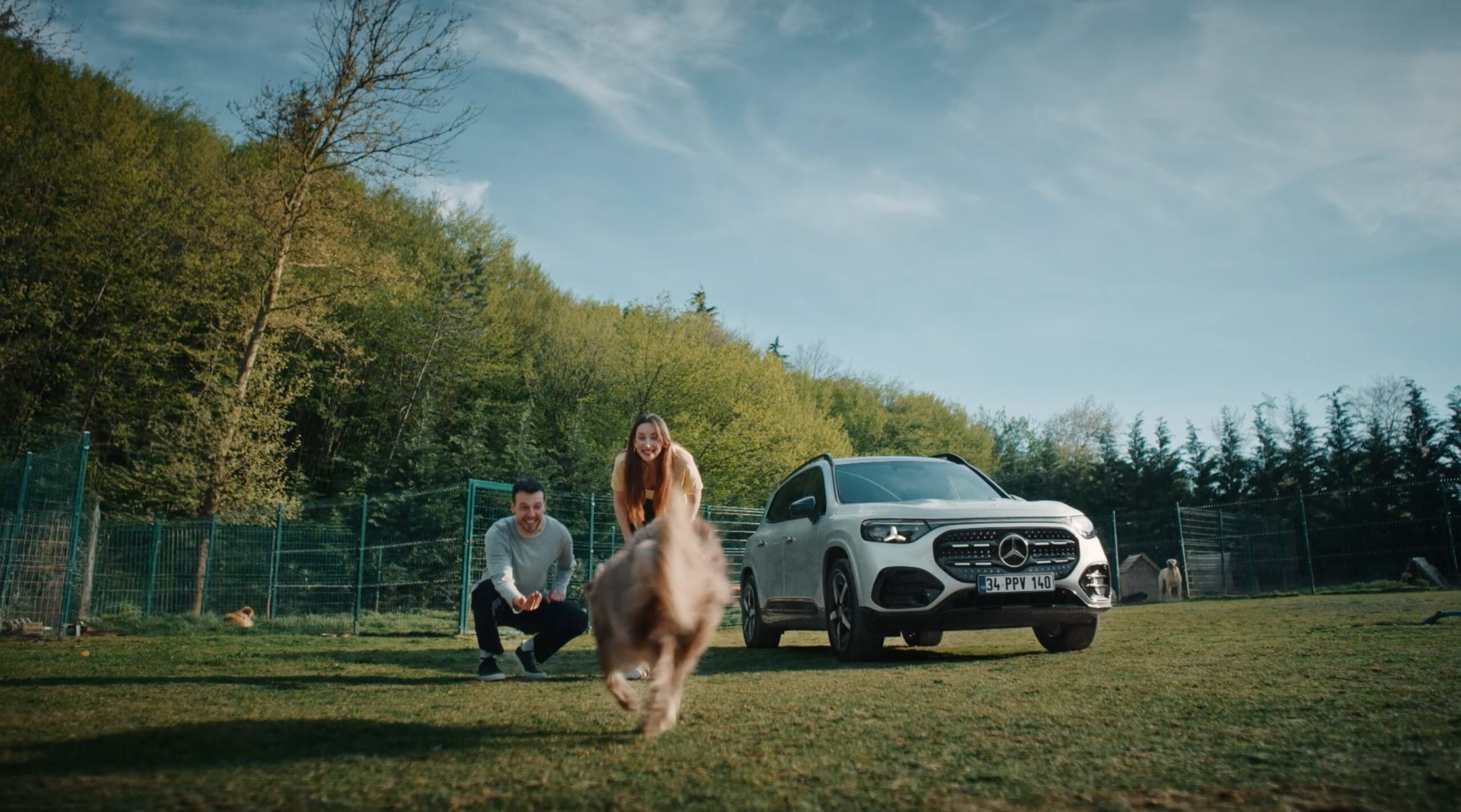 Mercedes-Benz Türkiye ve HAÇİKO’dan Köpeklere Özel Güvenli Yolculuk Filmi: “İlk Yolculuk”